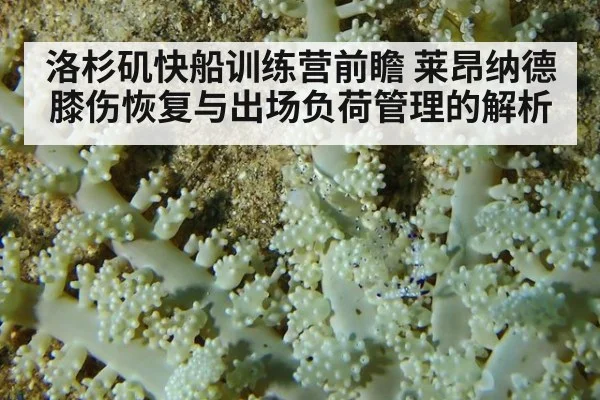 洛杉矶快船训练营前瞻 莱昂纳德膝伤恢复与出场负荷管理的解析